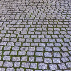 Jaką zaprawę do kostki brukowej wybrać, aby uniknąć problemów?