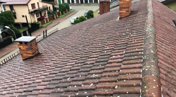 Jak skutecznie umyć dachówkę ceramiczną bez jej uszkodzenia